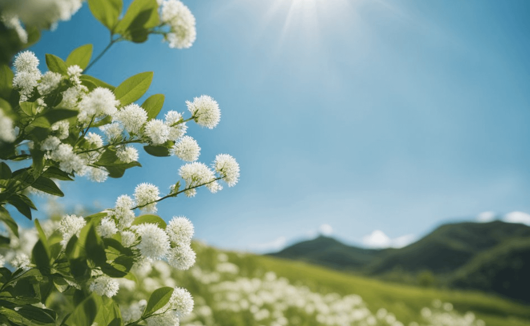 Breathing Techniques for Anxiety Relief