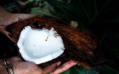 Coconut Oil Facts – In Search of The Truth About Coconut Oil
