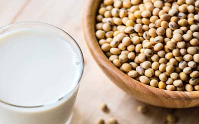 Grain Milk – The Ideal Vegan Drink and Milk Substitute?