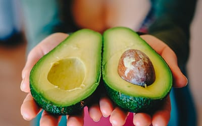 Good Alternatives To Avocado